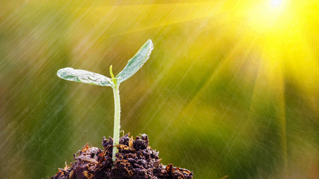 Het donker in jezelf overwinnen Tessa